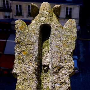 Gargouille vue du dessus  - France  - collection de photos clin d'oeil, catégorie clindoeil